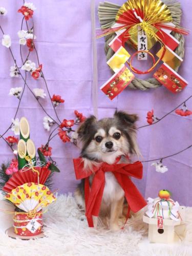 20230125あもちゃん